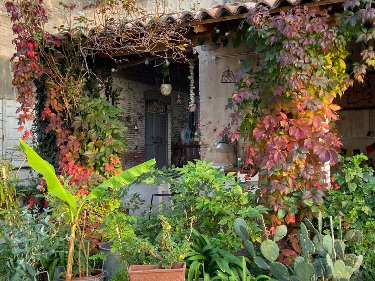 Medesano B&B Ostria Vento מראה חיצוני תמונה