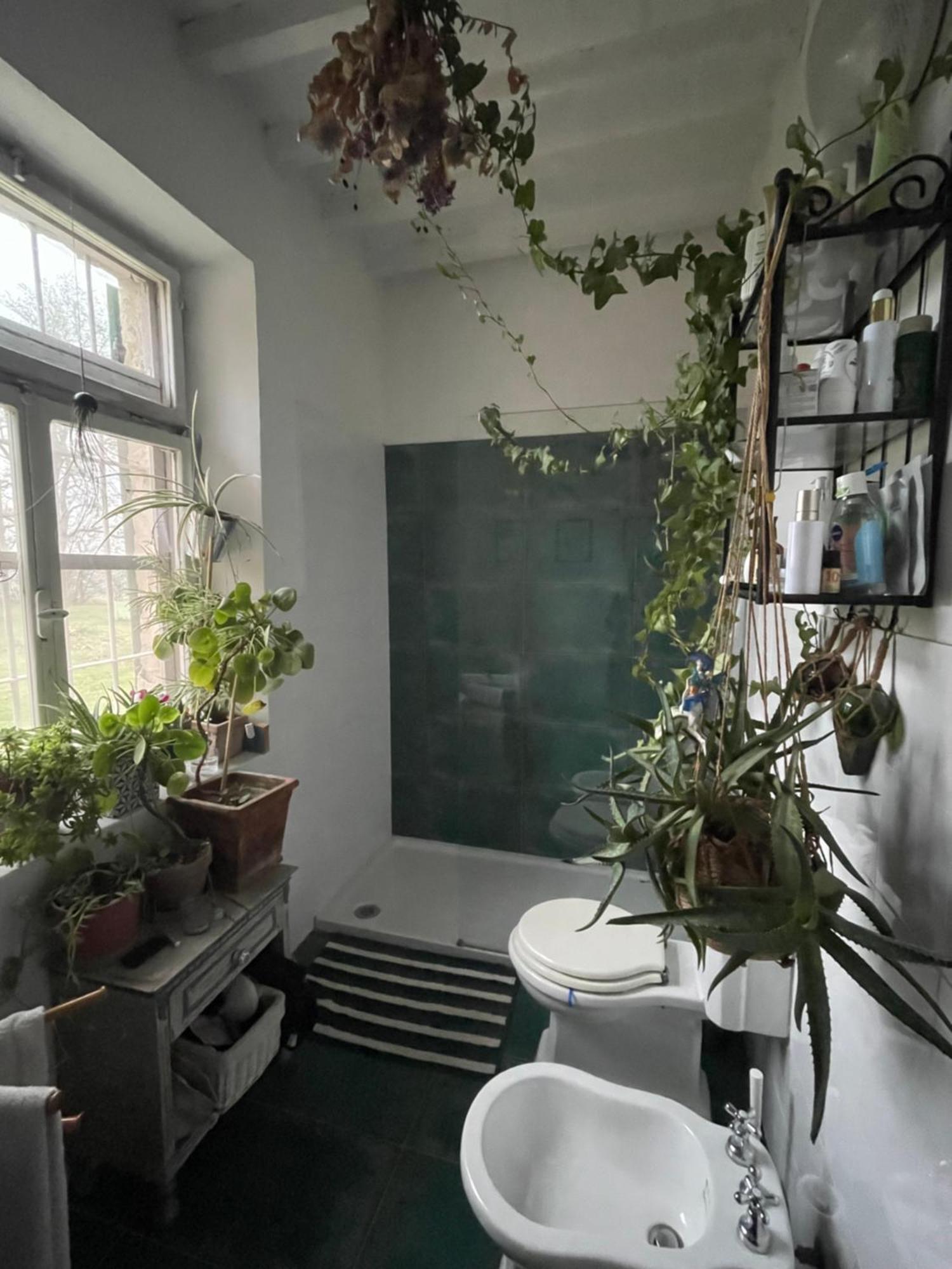 Medesano B&B Ostria Vento מראה חיצוני תמונה